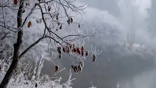 ঢাকাতে শীতের  আগমন 😍😍😍