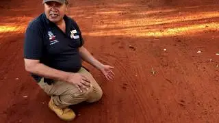 Discover the Desert - Animal tracking