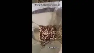 Superfine pulverizer，flour mill