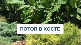ПОТОП В ХОСТЕ / СОЧИ СЕГОДНЯ / 23.07.2022