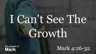 14.   I Can&rsquo;t See The Growth - Mark 4:26-32