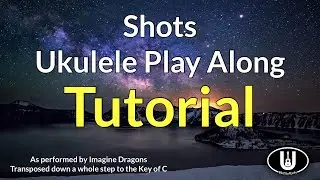 Видеоурок по игре в Shots Play Along