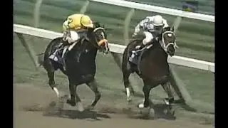 1996 Jim Dandy Stakes