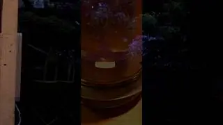Tre Fot Situasjonen