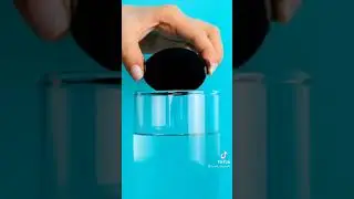 #Eggsperiment