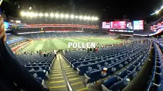 POLLEN