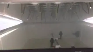 True aeroponic cloner