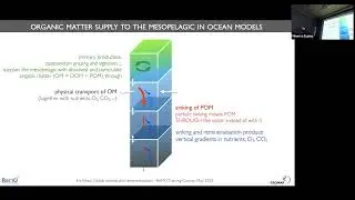 (Global) models and remineralisation (respiration)