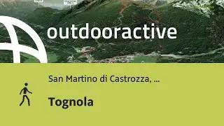 Tognola