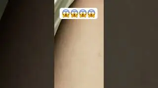 Whaaa&hellip;&hellip;