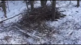 We built a fort with limited resources￼!!
