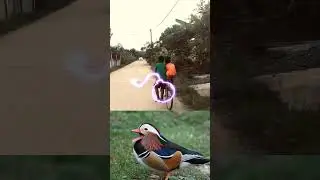 Don&rsquo;t Blink or You&rsquo;ll Miss It! #1 Bird Laughing
