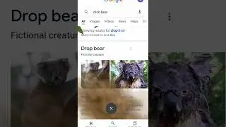 drop Bear search in google. #magic