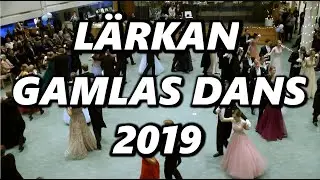 Lärkan Gamlas dans 2019