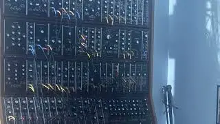 Lucky Man Moog Cover
