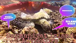 Daymaniyat Island Oman Adventure l Snorkeling l Island Visit l @Alldaydaddy