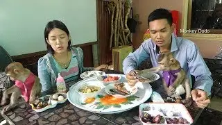 Wow, Fantastic Day!! Baby Dodo And Mori So Much Surprise To Join Lunch With Whole Family