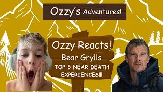 OZZY REACTS! BEAR GRYLLS TOP 5 NEAR DEATH EXPERIENCES! Ozzy Adventures reacts 🤩