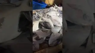 fish market #wholesalemarket #fish #youtubeshorts #explore #shopping #viral #explorepage #viral