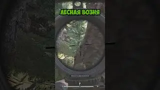 Егерь на страже #arenabreakoutinfinite #pbexa #arena #юмор #fps #арена