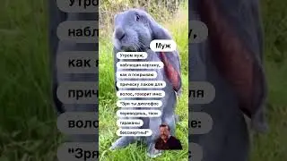 Прикол😂#юмор #мем #прикол #смех #shortsvideoviralkaisekare