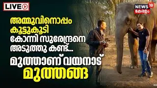 News18 LIVE | Muthanga Wildlife Sanctuary | Muthanga Elephant Camp | Wayanad | Kerala News Today
