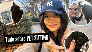 Tudo sobre Pet Sitting: dicas, dúvidas, aplicativo, como aplicar pra vaga…