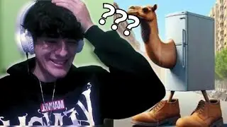 MIS SUBS ME MANDAN MEMES POR DISCORD #1