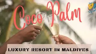 COCO PALM DHUNI KOLHU RESORT - Maldives Luxury Resort (The Trip Land)