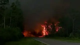 Hundreds evacuated as wildfires rage in Florida Panhandle