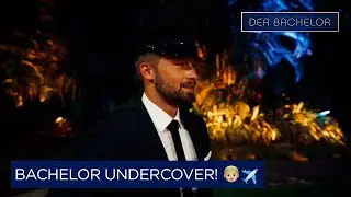 DAS gab's noch nie! Bachelor Dominik wird zum Chauffeur & fährt die Ladys zur Villa | Der Bachelor