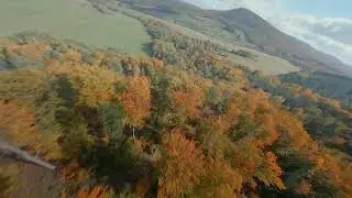 Most Beautifull Autumn Countires FPV  Drone in 2 Minute