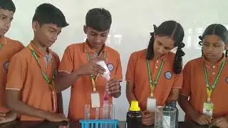Acid & Base Experiment | St. Peter's International Public School | Contac: 9940102192