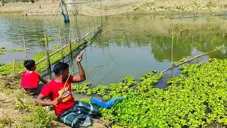 Hook Fishing | Traditional Hook Fishing in Beautiful Village River | Rural Fishing BD (Part-57)