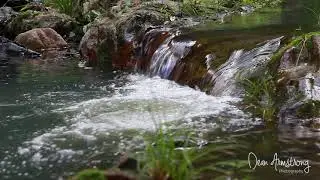 1 Hr Relaxation HD Waterfall South Pine River #2