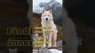 The King of the Mountains 🏔️🐺​ Король гор 🏔️🐺