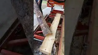 Пилорама WoodMizer LX 55 работает #деревообработка #пилорама #woodmizer