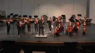 &ldquo;String Symphony No.10&rdquo;: Homestead Chamber Orchestra at CMEA 2017