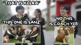 Когда КАИРИ и КИБОЙ из ONIC посетили приют для собак с РОУЗ...😂(смешные моменты из MSC)