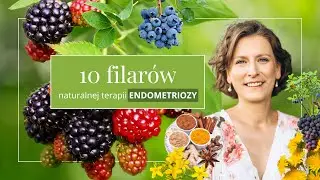 10 filar&oacute;w naturalnej terapii endometriozy