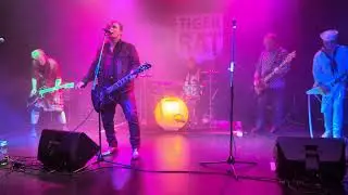 Tiger Rat - My Uncle and I - Telefonfabriken - 2025-10-31