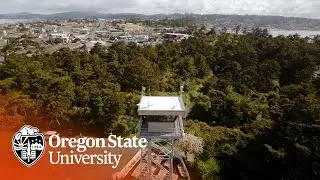 Coastal Remote Sensing - College Research Projects