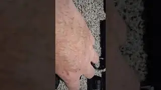 Weltool W3 Pro Tac Defensive Device