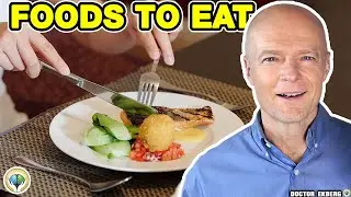 What Should Humans Eat? Food For Humans - User Manual For Humans S1 E03 - Dr Ekberg
