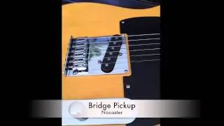 Peter Florance Nocaster & TE50 Telecaster Set