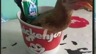 Chicken joy 🤣🤣🤣