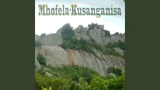 Nhemamusasa