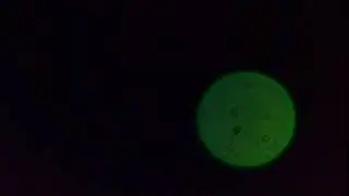 The Sky above us