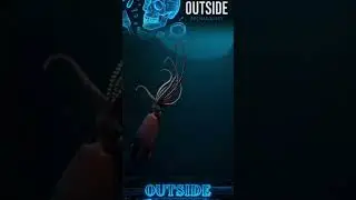 &Aacute;c mộng Kraken: Huyền thoại n&agrave;y thực sự c&oacute; thật!