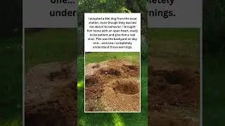 Backyard Disaster After Adopting a Shelter Dog! #shorts #pets